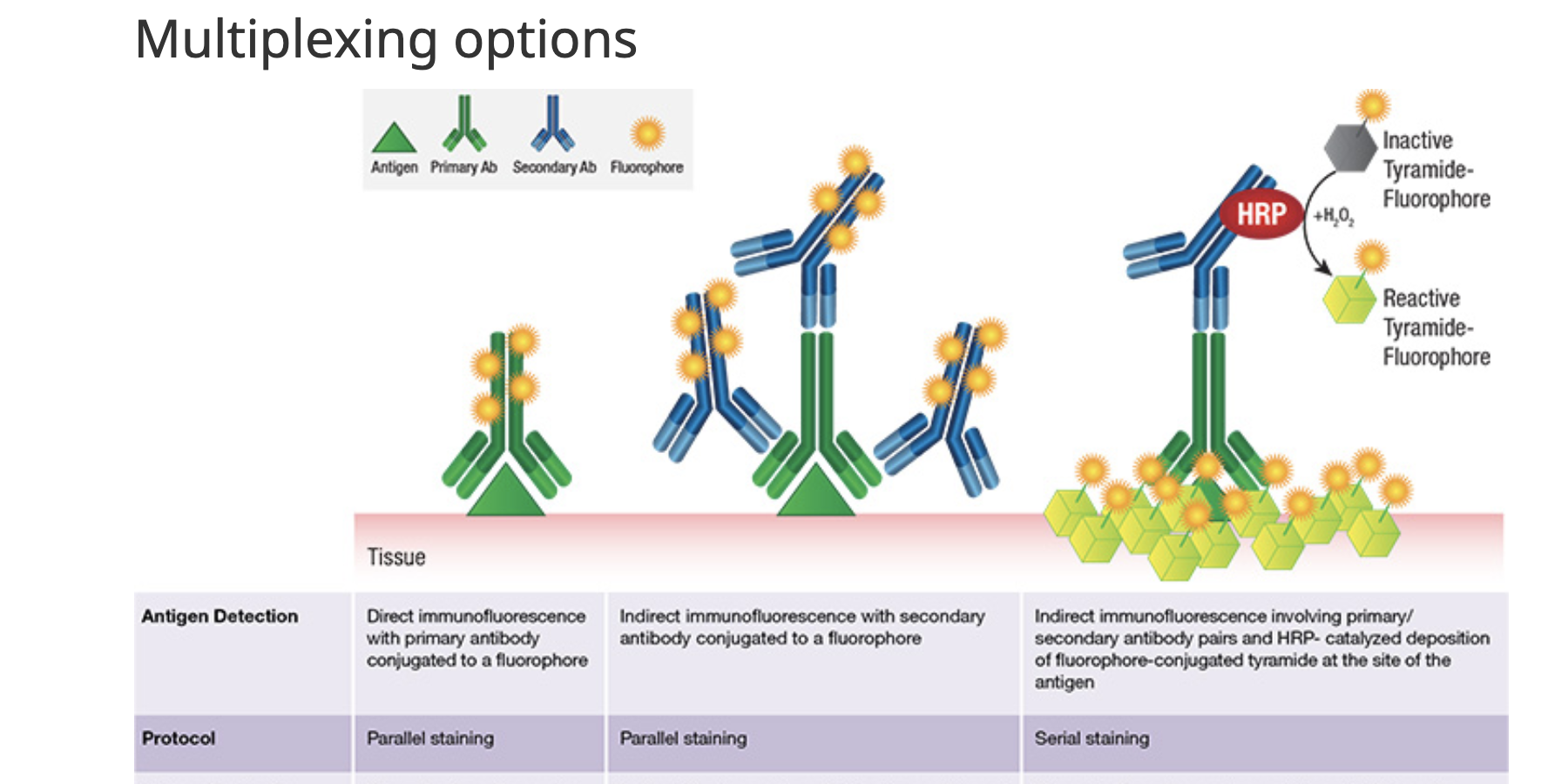 Pros and Cons of Different Multiplexing Techniques for IHC and IF